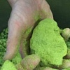 Хммель Лупулиновая пыльца Экуанот (альфа 22,4%), 50 г